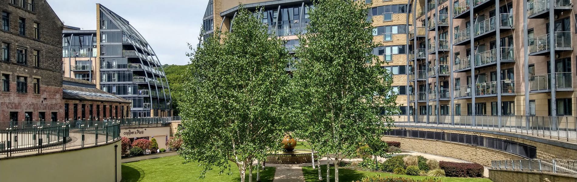 280887916 10160351665886416 1181912426798436557 N (1)